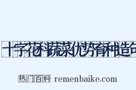 十字花科蔬菜优势育种造句是什么意思的图片